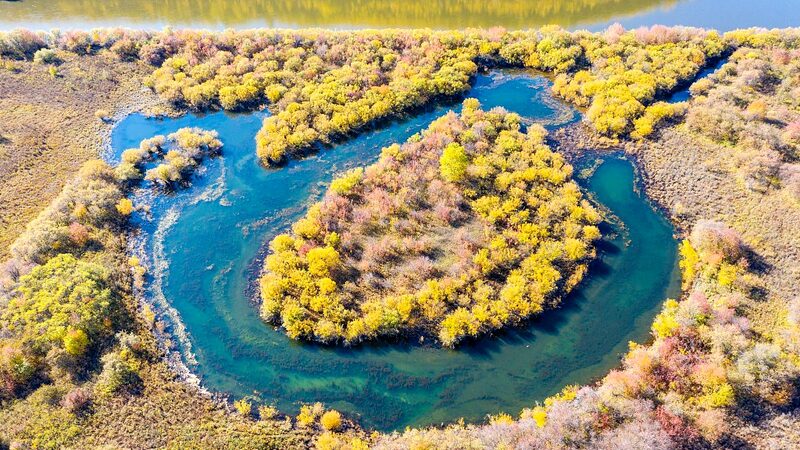China_s_Wetlands_Thrive__Asia_s_Largest_Ecosystem_Stable___ - 🌍NewspaperAmigo – Your Global News Buddy 🗞️ China_s_Wetlands_Thrive__Asia_s_Largest_Ecosystem_Stable___