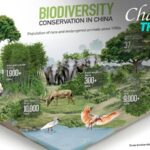 __China_s_Wildlife_Wins___the_Global_Biodiversity_Challenge