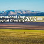 China_s_Wildlife_Wonders____Celebrate_Biodiversity_Day_2024