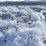 ___China_s_Winter_Wonderland__Explore_Mohe___Gear_Up_for_Asian_Winter_Games_ video poster