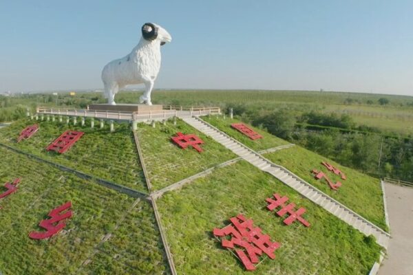 China’s Yanchi Tan Sheep: A Billion-Dollar Culinary Treasure 🐑💰 China_s_Yanchi_Tan_Sheep__A_Billion_Dollar_Culinary_Treasure___ video poster