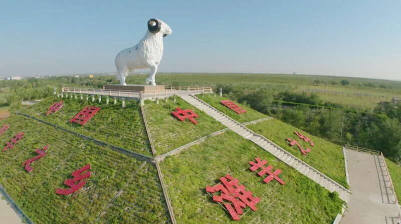 China_s_Yanchi_Tan_Sheep__A_Billion_Dollar_Culinary_Treasure____poster - 🌍NewspaperAmigo – Your Global News Buddy 🗞️ China_s_Yanchi_Tan_Sheep__A_Billion_Dollar_Culinary_Treasure___ video poster