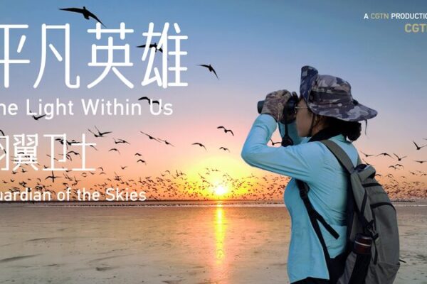 China’s ‘Bird Airport’ Soars with Tech-Driven Conservation 🐦✨ China_s__Bird_Airport__Soars_with_Tech_Driven_Conservation___ video poster