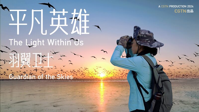 China_s__Bird_Airport__Soars_with_Tech_Driven_Conservation____poster - 🌍NewspaperAmigo – Your Global News Buddy 🗞️ China_s__Bird_Airport__Soars_with_Tech_Driven_Conservation___ video poster