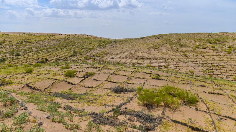 China_s__Green_Wall__Conquers_Vast_Desert____