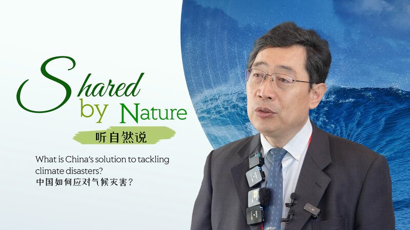 Chinese_Built_OCEANUS_System_Aims_to_Predict_Climate_Disasters____poster - 🌍NewspaperAmigo – Your Global News Buddy 🗞️ Chinese_Built_OCEANUS_System_Aims_to_Predict_Climate_Disasters___ video poster