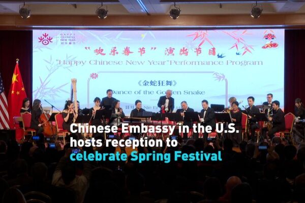 ๐๐ผ Chinese Embassy Celebrates Spring Festival with Panda Welcome in D.C.! ___Chinese_Embassy_Celebrates_Spring_Festival_with_Panda_Welcome_in_D_C__ video poster