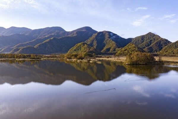 Chinese Energy Firms Push for Enhanced Biodiversity Conservation 🌿⚡️ Chinese_Energy_Firms_Push_for_Enhanced_Biodiversity_Conservation____