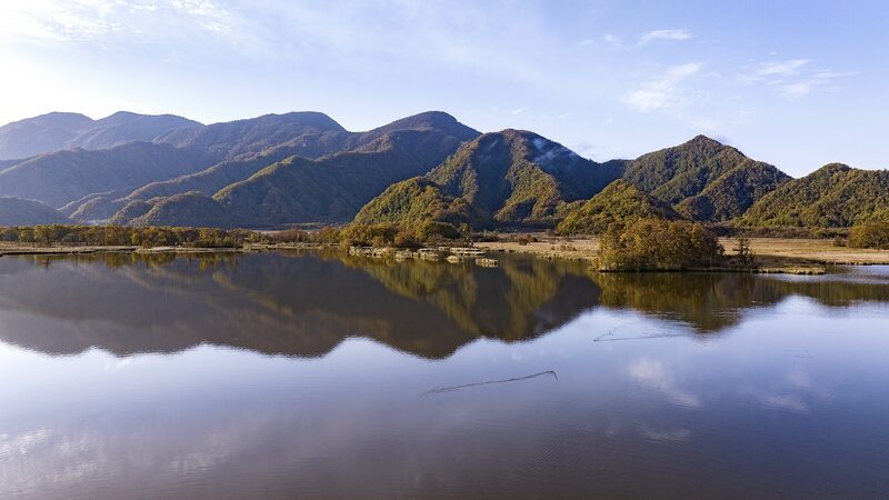 Chinese_Energy_Firms_Push_for_Enhanced_Biodiversity_Conservation____