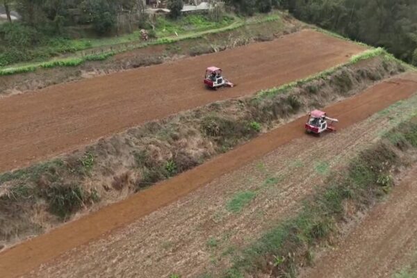 🌱 Chinese Farmers Gear Up for Spring Plowing Season to Boost Harvests __Chinese_Farmers_Gear_Up_for_Spring_Plowing_Season_to_Boost_Harvests video poster