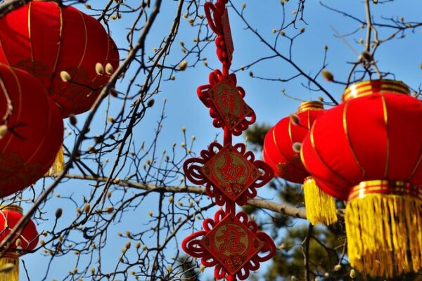 Chinese Leaders Extend Spring Festival Cheer to Retired Officials ๐ฎโจ Chinese_Leaders_Extend_Spring_Festival_Cheer_to_Retired_Officials___