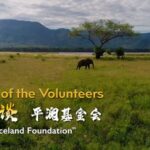Chinese_NGO_Expands_Global_Humanitarian_Efforts___ video poster
