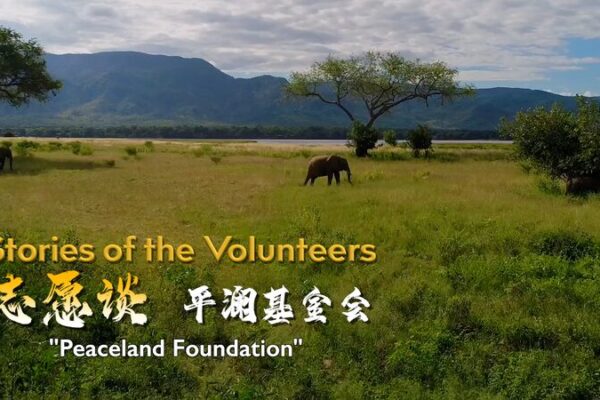 Chinese NGO Expands Global Humanitarian Efforts 🌏✨ Chinese_NGO_Expands_Global_Humanitarian_Efforts___ video poster
