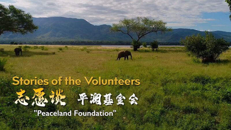 Chinese_NGO_Expands_Global_Humanitarian_Efforts___ video poster