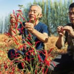 Chinese_Scientist_Wins_Top_UN_Environmental_Award___