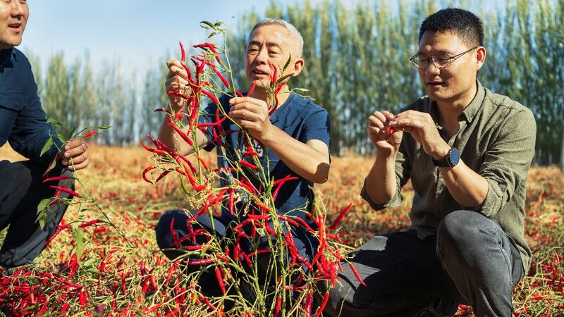 Chinese_Scientist_Wins_Top_UN_Environmental_Award___ - 🌍NewspaperAmigo – Your Global News Buddy 🗞️ Chinese_Scientist_Wins_Top_UN_Environmental_Award___