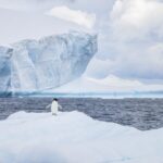 Chinese_Scientists_Crack_Antarctic_Sea_Ice_Code_with_AI___