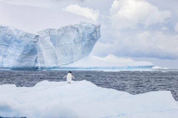 Chinese Scientists Crack Antarctic Sea Ice Code with AI 🧊🤖 Chinese_Scientists_Crack_Antarctic_Sea_Ice_Code_with_AI___