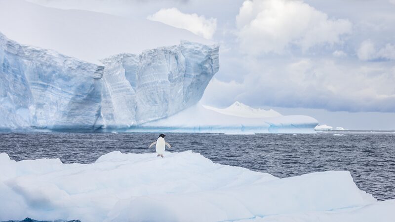 Chinese_Scientists_Crack_Antarctic_Sea_Ice_Code_with_AI___