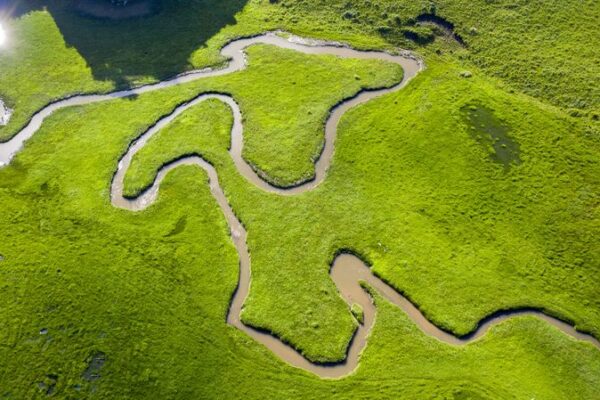 Chinese Scientists Lead Charge in Protecting High-Altitude Wetlands π±ποΈ Chinese_Scientists_Lead_Charge_in_Protecting_High_Altitude_Wetlands____