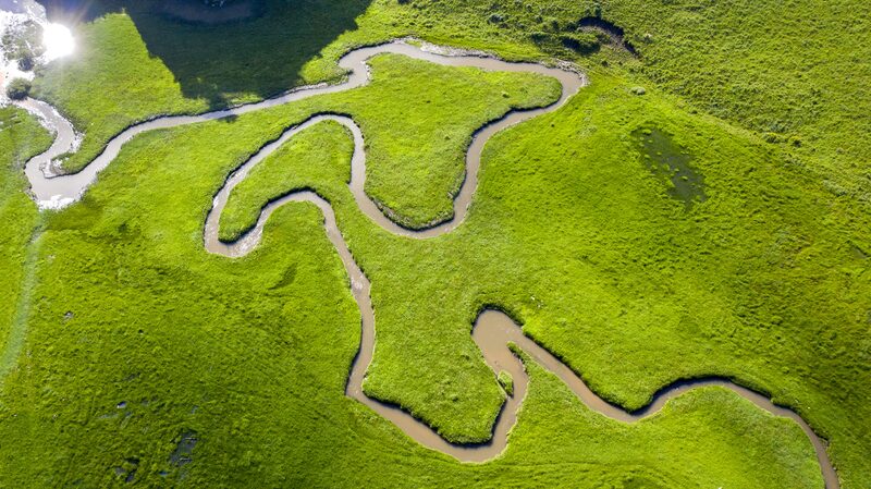Chinese_Scientists_Lead_Charge_in_Protecting_High_Altitude_Wetlands____