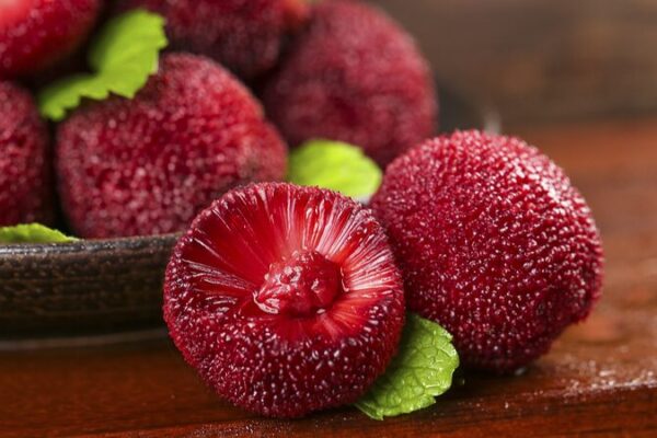 Chinese_Waxberry_Craze_Goes_Global___