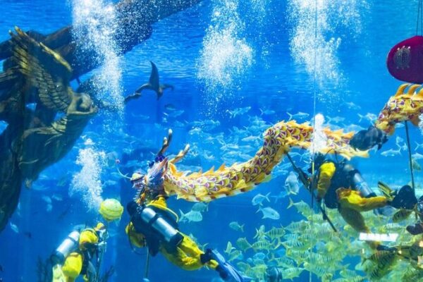 Chongqing Aquarium Hosts Underwater Dragon Dance for Spring Festival 🌊🐉✨ Chongqing_Aquarium_Hosts_Underwater_Dragon_Dance_for_Spring_Festival____