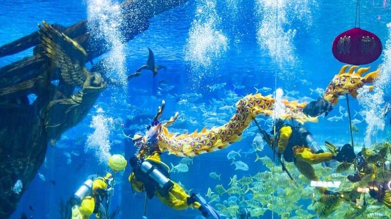 Chongqing_Aquarium_Hosts_Underwater_Dragon_Dance_for_Spring_Festival____