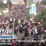 Civilians_Flee_Gaza_on_Foot_Amid_Escalating_Conflict_____ video poster