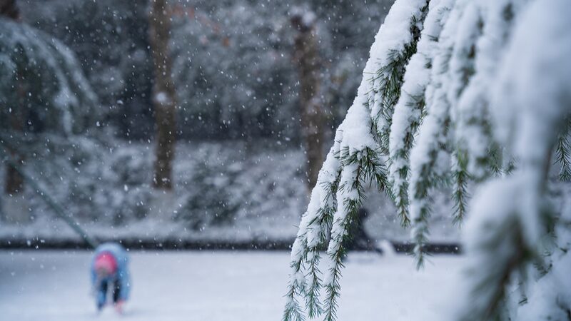 Cold Snap! The Chinese Mainland Issues Yellow Alert for Low Temperatures ❄️ Cold_Snap__The_Chinese_Mainland_Issues_Yellow_Alert_for_Low_Temperatures___