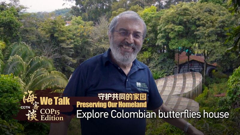 Colombia_s_Butterfly_Haven__A_Conservation_Story____poster - 🌍NewspaperAmigo – Your Global News Buddy 🗞️ Colombia_s_Butterfly_Haven__A_Conservation_Story___ video poster