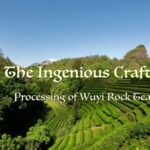 Crafting_Perfection__The_Art_Behind_Wuyi_Rock_Tea___ video poster