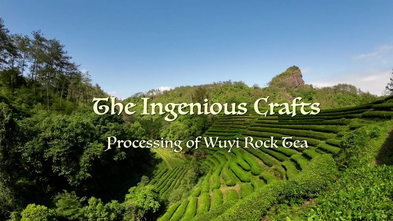Crafting_Perfection__The_Art_Behind_Wuyi_Rock_Tea___ video poster