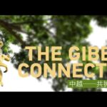 Cross_Border_Gibbons__How_China___Vietnam_Save_a_Species___ video poster