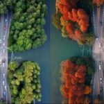 Deaf_Photographer_Rides_Waves___Breaks_Barriers___ video poster