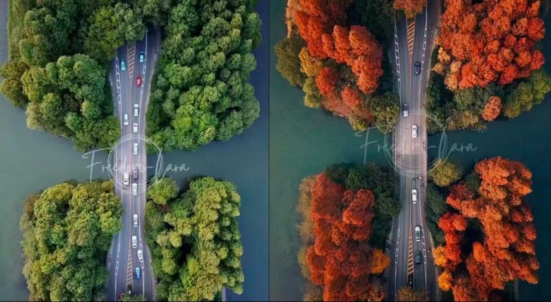 Deaf_Photographer_Rides_Waves___Breaks_Barriers____poster - 🌍NewspaperAmigo – Your Global News Buddy 🗞️ Deaf_Photographer_Rides_Waves___Breaks_Barriers___ video poster