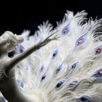 Dehua_Porcelain_Dazzles_in_Beijing__A_Celebration_of_Timeless_Art___