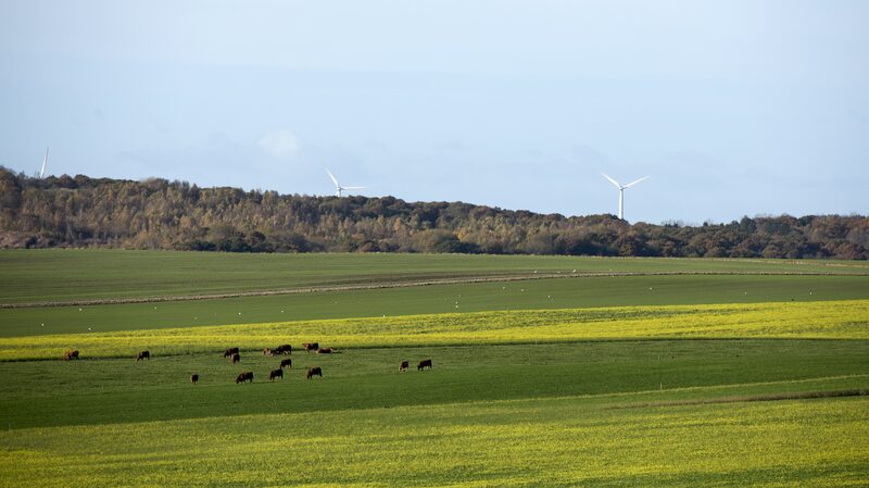 Denmark Launches World’s First Livestock Carbon Tax 🐄🌍 Denmark_Launches_World_s_First_Livestock_Carbon_Tax___