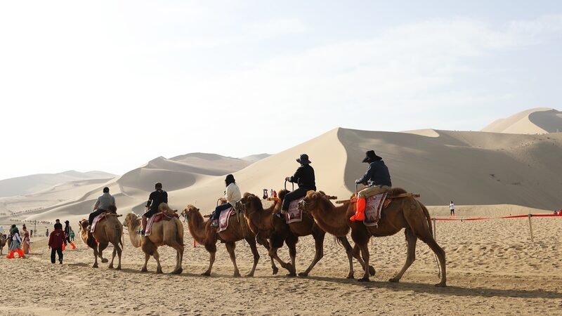 Desert Symphony: Discover Mingsha Mountain and Crescent Spring 🏜️✨ Desert_Symphony__Discover_Mingsha_Mountain_and_Crescent_Spring____