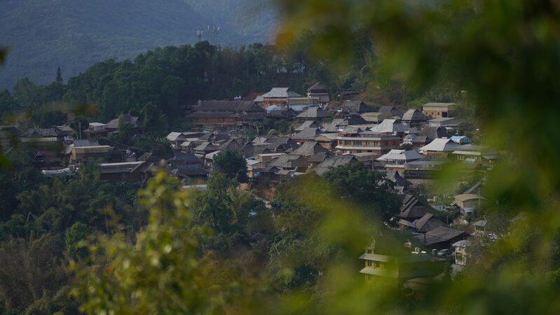 Discover_Ancient_Tea_Forests_and_Villages__Jingmai_Mountain_Earns_UNESCO_Heritage_Status_____poster - 🌍NewspaperAmigo – Your Global News Buddy 🗞️ Discover_Ancient_Tea_Forests_and_Villages__Jingmai_Mountain_Earns_UNESCO_Heritage_Status____ video poster