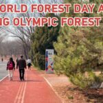 __Discover_Beijing_Olympic_Forest_Park_This_World_Forest_Day_ video poster