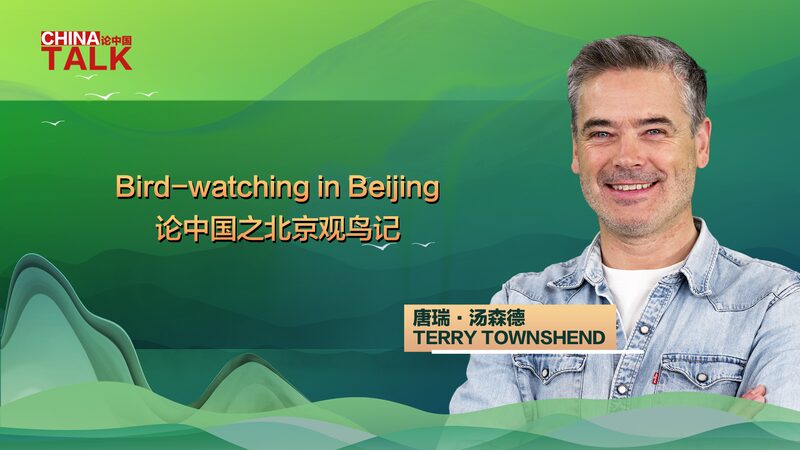 Discover Beijing’s Sky: Insights from British Wildlife Conservationist Terry Townshend 🐦✨ Discover_Beijing_s_Sky__Insights_from_British_Wildlife_Conservationist_Terry_Townshend___ video poster