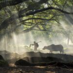 Discover_Fujian__China_s_Eco_Maritime_Powerhouse___