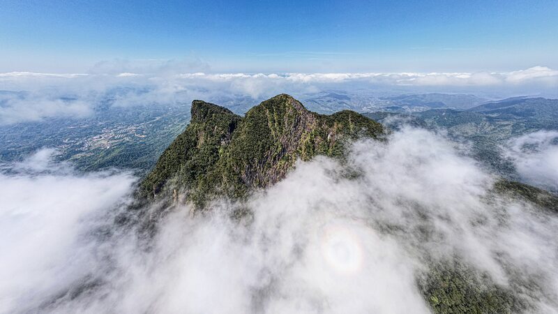 Discover_Hainan_s_Majestic_Wuzhi_Mountain__Nature_s_Five_Finger_Wonder__poster - 🌍NewspaperAmigo – Your Global News Buddy 🗞️ _Discover_Hainan_s_Majestic_Wuzhi_Mountain__Nature_s_Five_Finger_Wonder_ video poster