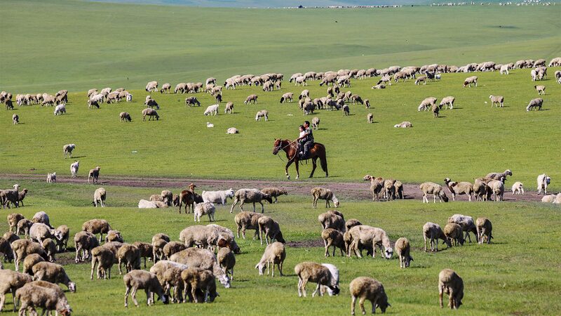 Discover_Hulun_Buir__Inner_Mongolia_s_Green_Paradise___