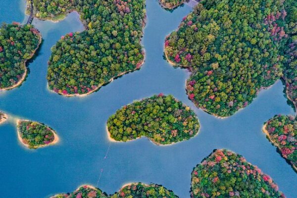 Discover_Qiandao_Lake__Hangzhou_s_Hidden_Island_Wonderland - 🌍NewspaperAmigo – Your Global News Buddy 🗞️ __Discover_Qiandao_Lake__Hangzhou_s_Hidden_Island_Wonderland
