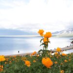Discover_Sayram_Lake__Xinjiang_s_Crystalline_Blue_Gem___