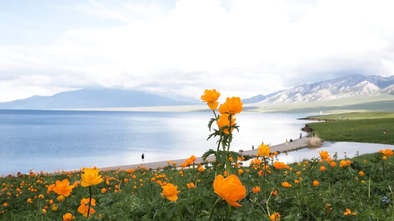 Discover_Sayram_Lake__Xinjiang_s_Crystalline_Blue_Gem___