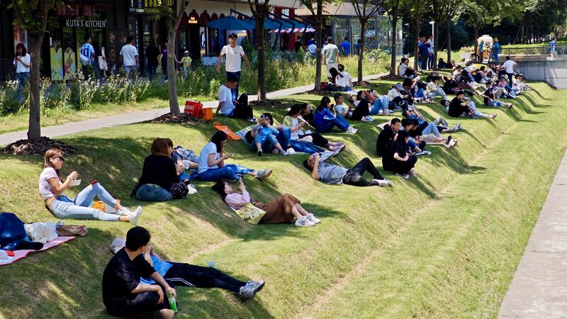 Discover Shanghai’s Viral Urban Oasis: The Ultimate Lunch Break Spot 🌿😴 Discover_Shanghai_s_Viral_Urban_Oasis__The_Ultimate_Lunch_Break_Spot___ video poster
