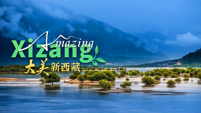 Discover the Enchanting Nanyi Valley in Xizang 🌄✨ Discover_the_Enchanting_Nanyi_Valley_in_Xizang___